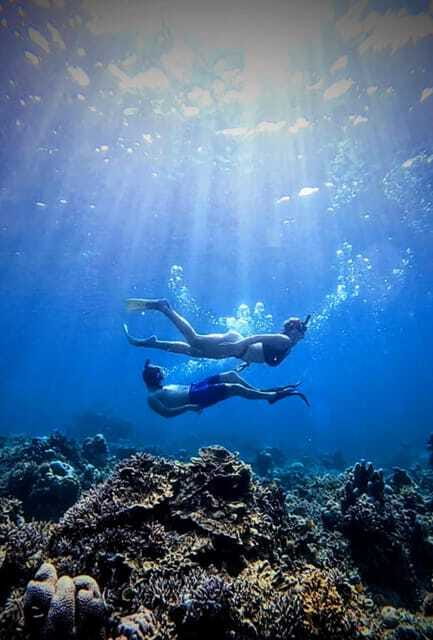 Snorkeling around 3 island & turtle sanctuary - Turtle point and swimming with turtles