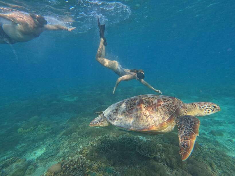 Snorkeling around 3 island & turtle sanctuary - Equipment, comfort, and practical preparation