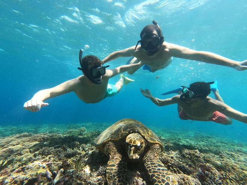 Snorkeling around 3 island & turtle sanctuary - Who should book this Gili island outing?