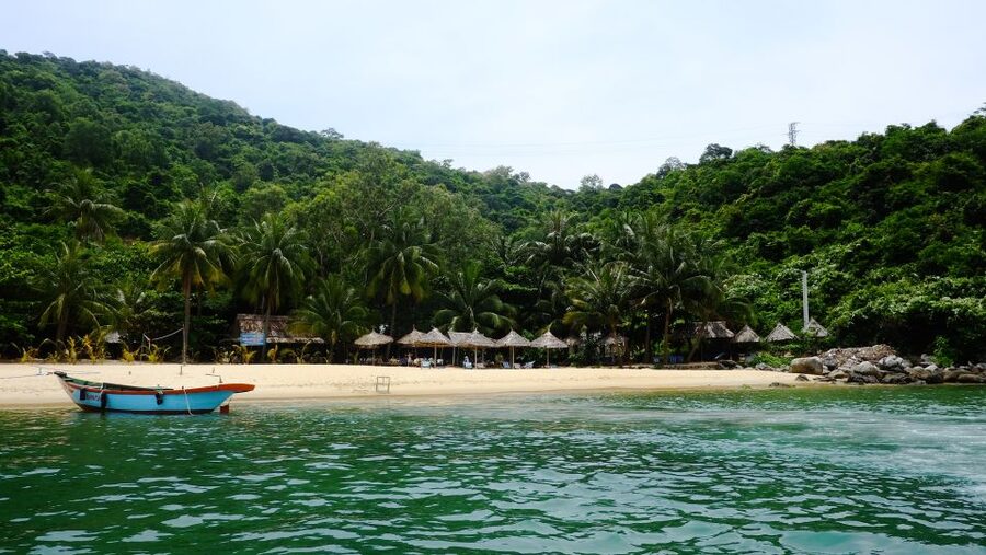 Snorkeling Cham Island: Snorkeling Tour by Speed Boat - Who will enjoy this Cham Island trip?