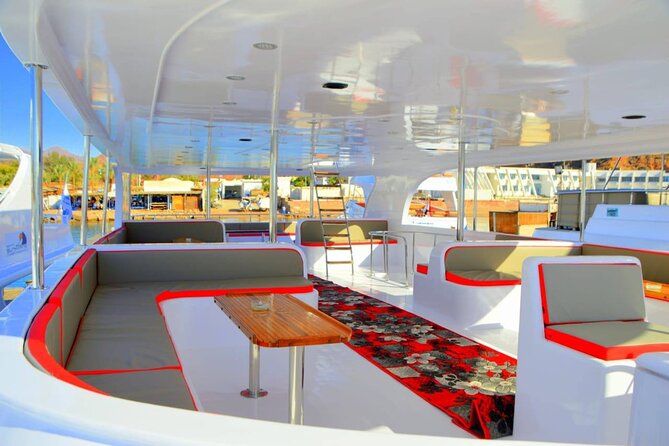 Snorkeling Day Trip To White Island And Ras Mohammed By VIP Boat - White Island and its bright sand