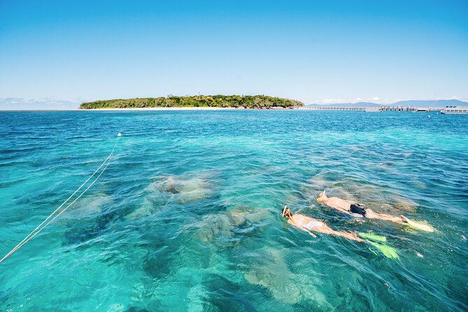 Snorkelling and Glass Bottom Boat at Green Island from Cairns - Pool, food, shops, and the limits of a small island