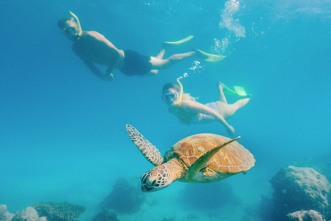 Snorkelling and Glass Bottom Boat at Green Island from Cairns - Is the $107.59 price good value?