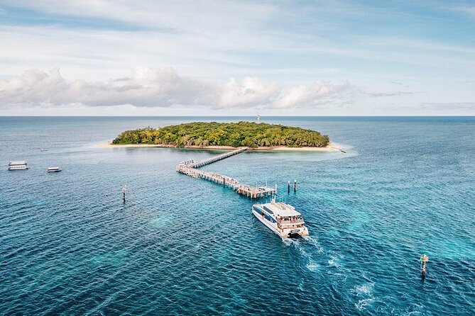 Snorkelling and Glass Bottom Boat at Green Island from Cairns - What snorkelling from the beach is really like
