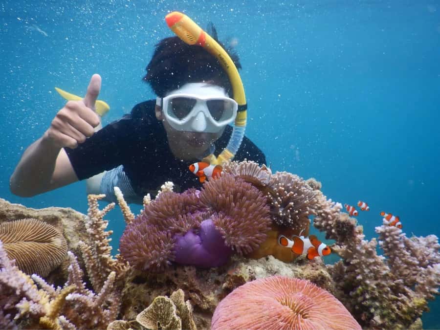Snorkelling & islandhopping tour Karimunjawa (sharing tour) - The First Run Out to the Reefs