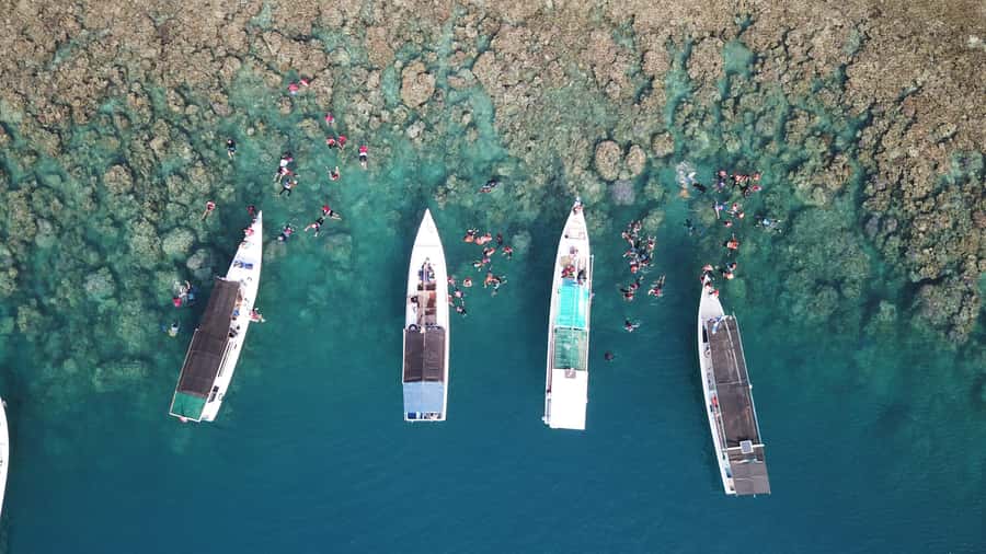 Snorkelling & islandhopping tour Karimunjawa (sharing tour) - What You Need to Bring