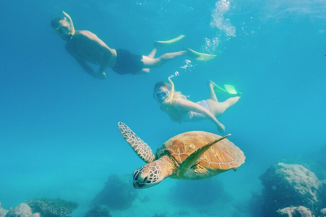 Snorkelling or Glass Bottom Boat at Green Island from Cairns - Green Island at a glance