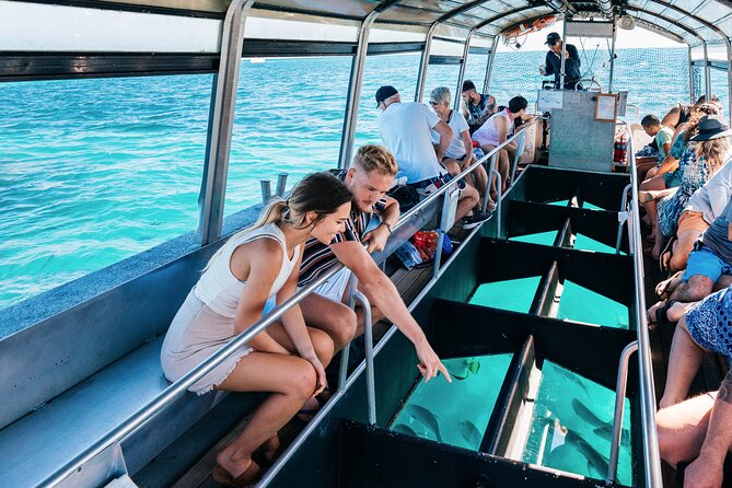 Snorkelling or Glass Bottom Boat at Green Island from Cairns - Green Island’s unusual natural setting
