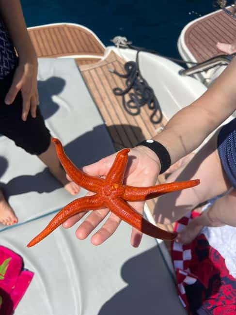 Split: 5 Islands Full-Day Tour to Blue Cave, Vis & Hvar - Vis and the cliffs near Stiniva Cove