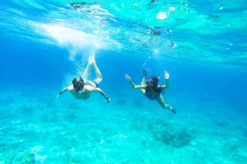 Split: Blue Lagoon, Hvar and 6 Islands Small Group Boat Tour - Labadusa finishes with one last swim