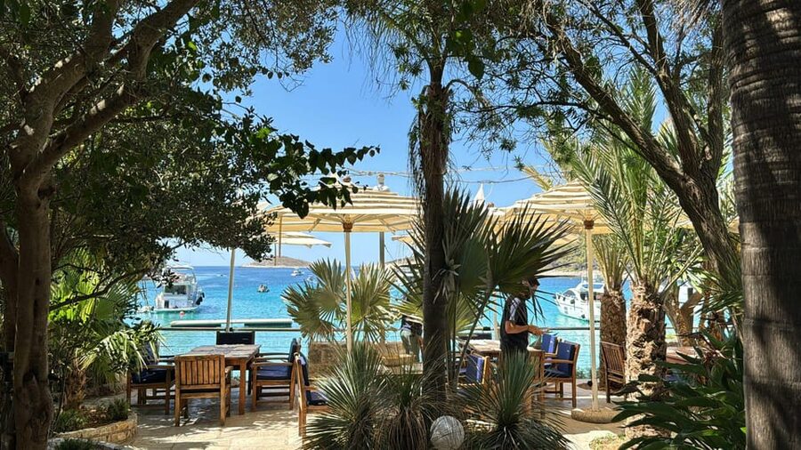 Split: Blue Lagoon, Hvar and 6 Islands Small Group Boat Tour - Guides, group size, and the overall mood
