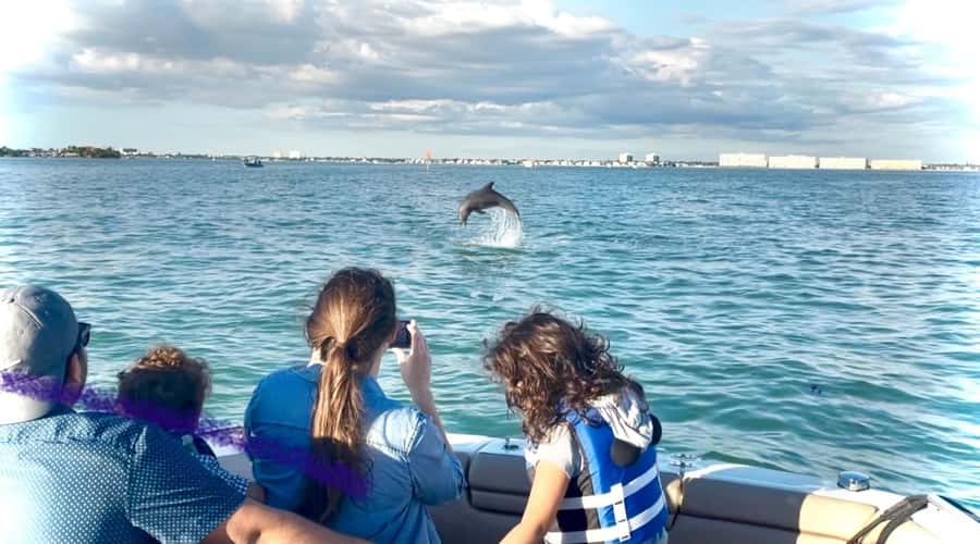 St. Petersburg: Private Barrier Island and Dolphin Boat Tour - Why the private format changes the experience