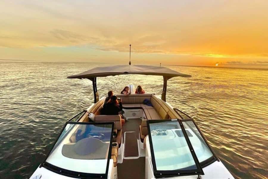 St. Petersburg: Private Barrier Island and Dolphin Boat Tour - The first 90 minutes: watching dolphins in Gulf waters