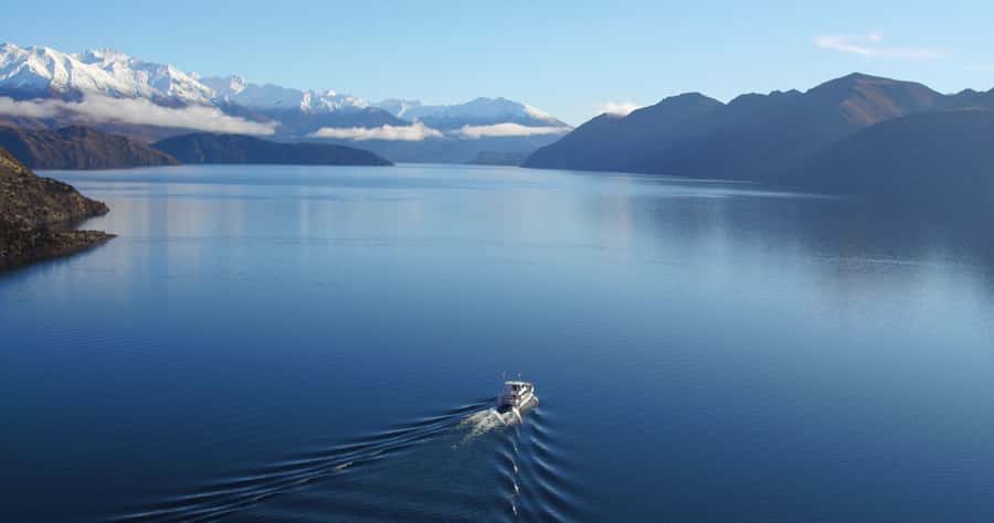 Stevensons Island 2-Hour Cruise and Nature Walk - A small summit with a big view