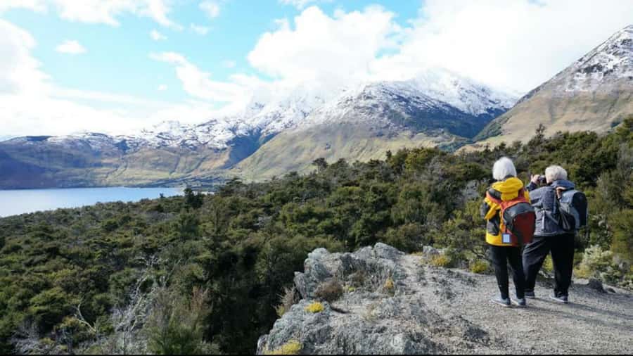Stevensons Island 2-Hour Cruise and Nature Walk - The return cruise and simple afternoon tea