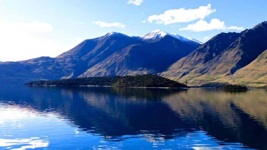 Stevensons Island 2-Hour Cruise and Nature Walk - Practical ways to make the most of two hours