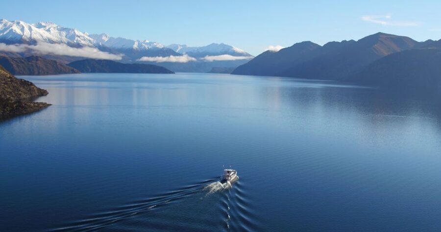Stevensons Island 2-Hour Cruise and Nature Walk - Should you book the Stevensons Island cruise?