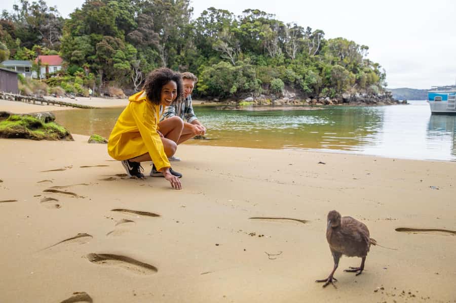 Stewart Island: Ulva Island Guided Wilderness Walk & Cruise - Key points to know before you book