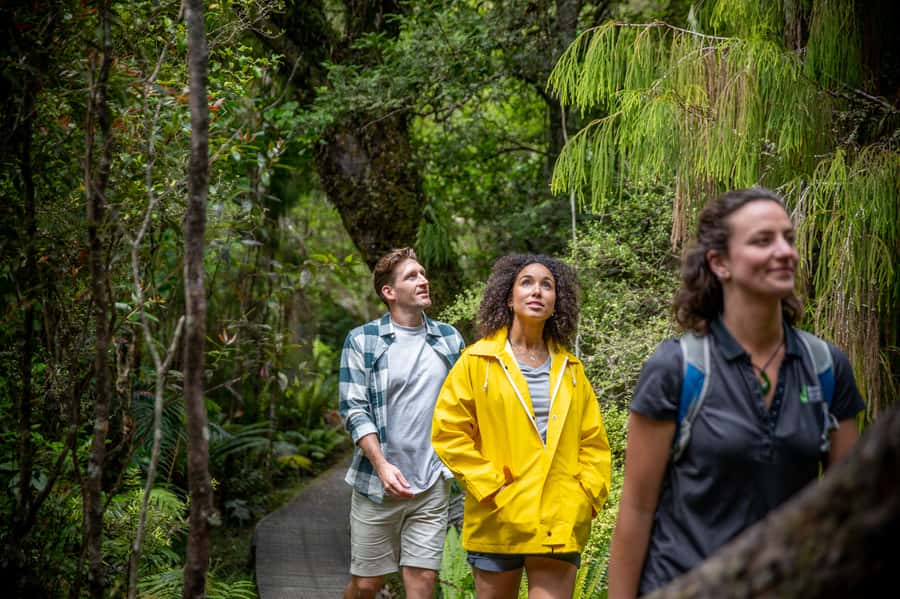 Stewart Island: Ulva Island Guided Wilderness Walk & Cruise - FAQ