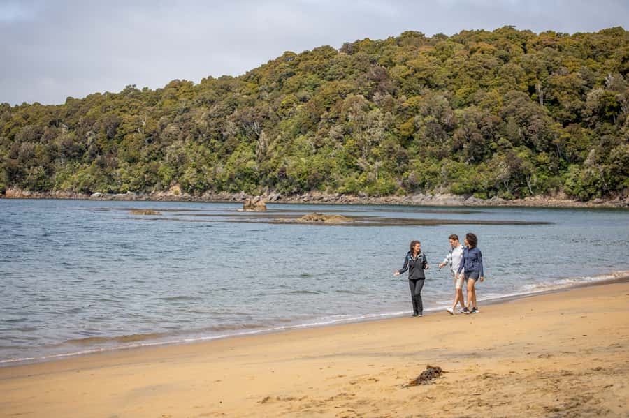 Stewart Island: Ulva Island Guided Wilderness Walk & Cruise - Why Ulva Island is worth your time