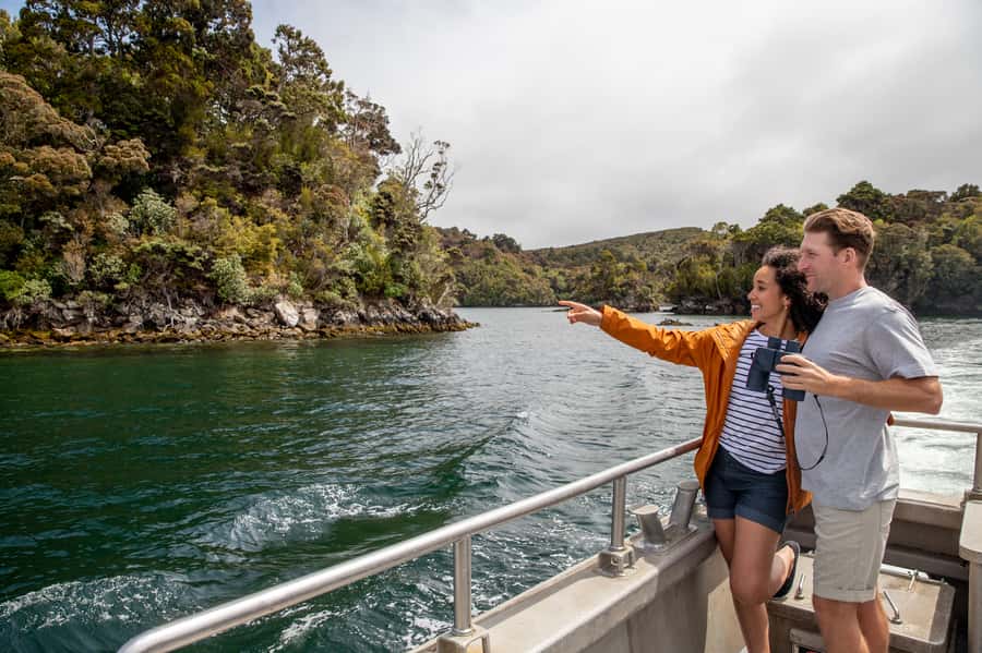 Stewart Island: Ulva Island Guided Wilderness Walk & Cruise - The 1.5-hour walk on Ulva Island