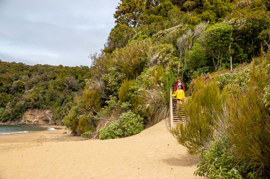 Stewart Island: Ulva Island Guided Wilderness Walk & Cruise - What wildlife you might see