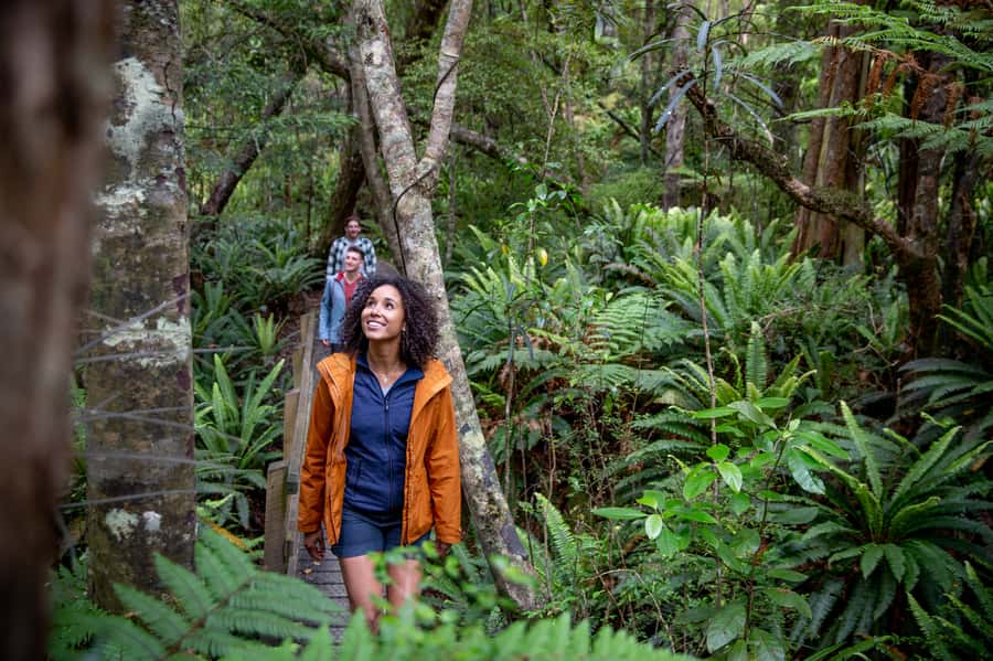 Stewart Island: Ulva Island Guided Wilderness Walk & Cruise - Who will enjoy this outing most