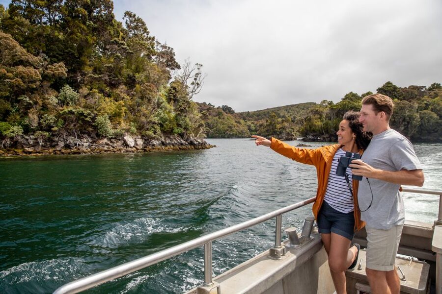 Stewart Island: Ulva Island Guided Wilderness Walk & Cruise - Weather, clothing, and practical details