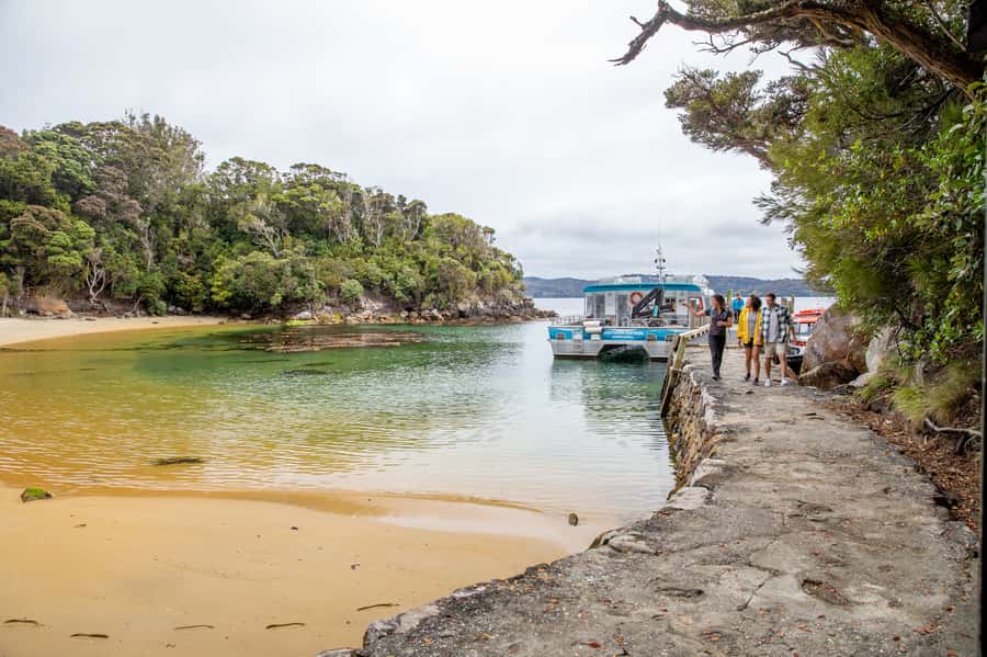 Stewart Island: Ulva Island Guided Wilderness Walk & Cruise - Is the guided Ulva Island walk right for you?