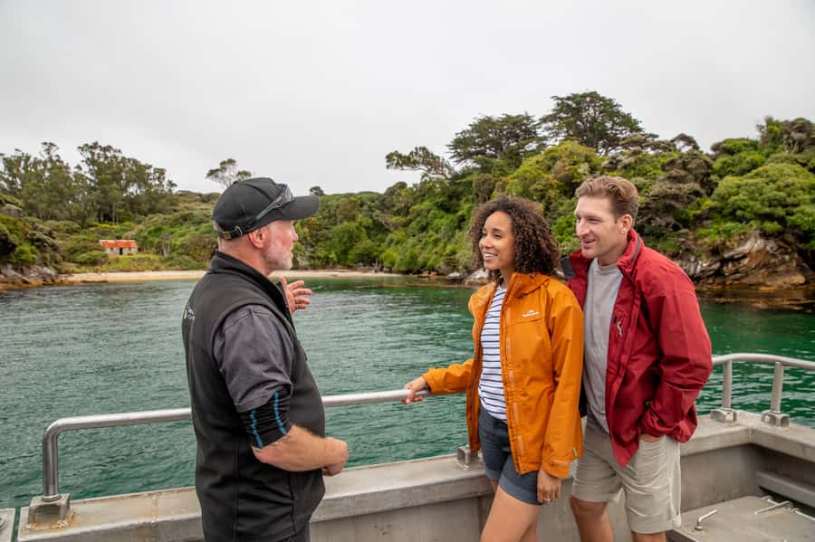 Stewart Island: Ulva Island Guided Wilderness Walk & Cruise - The cruise through Paterson Inlet