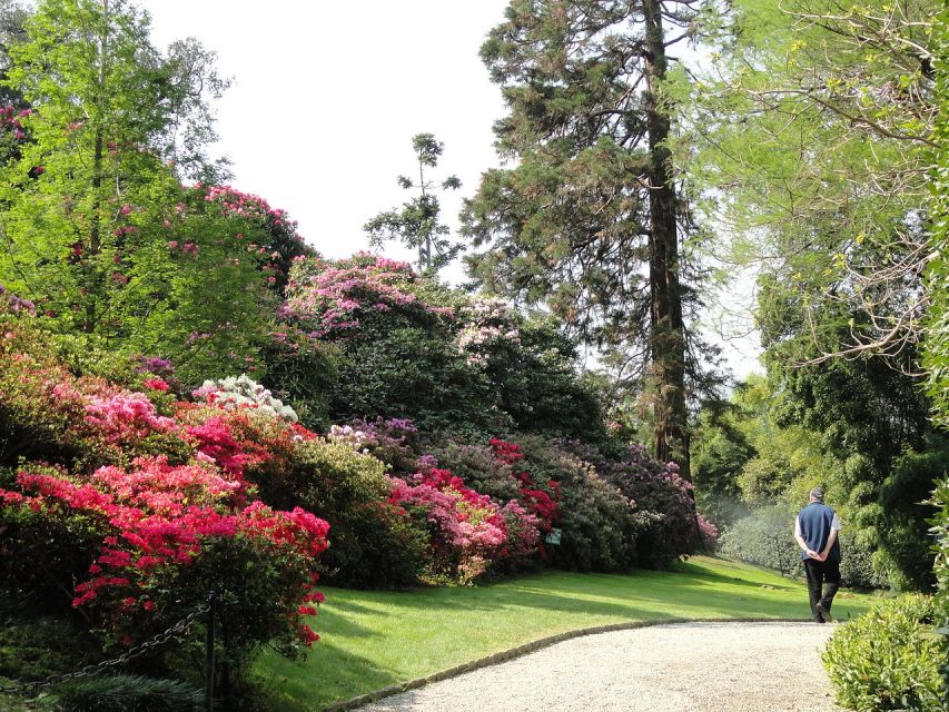 Stresa: 3 Borromean Islands Boat Tour - How to plan your full day