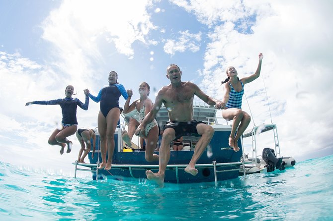 Swim with Whale Sharks in the Ningaloo Reef: 3 Island Shark Dive - Should you book the Three Island Shark Swim?