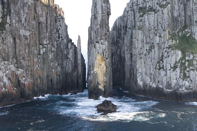 Tasman Island Cruises and Port Arthur Historic Site Day Tour from Hobart - Wildlife watching along the cliffs