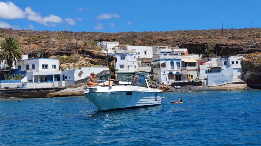 Tenerife: South Island Boat-Trip and Sea Excursion - Watching for dolphins and other sea life
