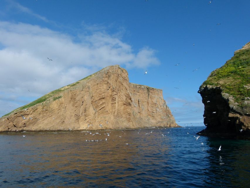 Terceira Island: Ilhéus Cabras Boat Tour | Protected Area - Who should book this boat trip