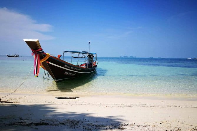 The Pigs Island snorkeling trip from Koh Samui by Speedboat - Snorkeling at Koh Taen