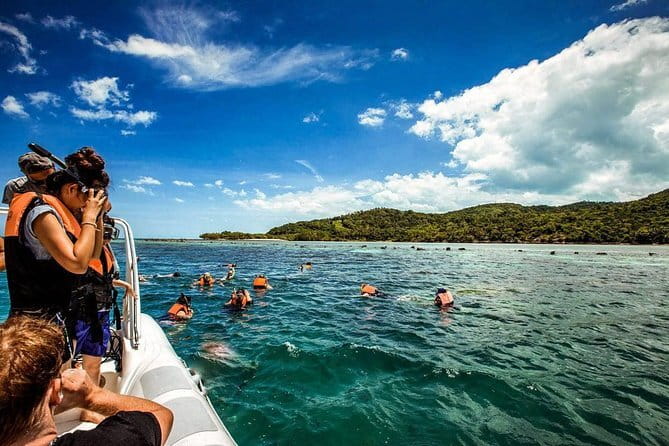 The Pigs Island snorkeling trip from Koh Samui by Speedboat - What the $58 price really covers