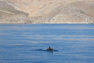 The Santa Maria 3 Island Cruise in the Aegean w/ Free Audio Guide