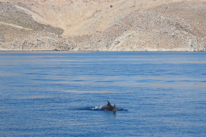 The Santa Maria 3 Island Cruise in the Aegean w/ Free Audio Guide - Watching for dolphins near Kalymnos