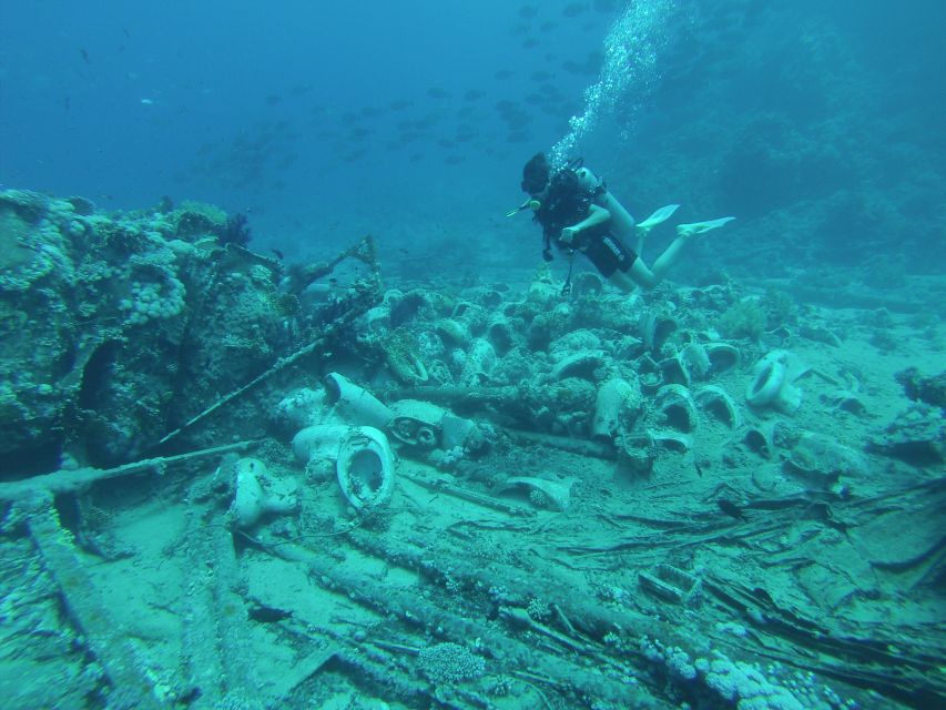 Tiran Island: Full-day Snorkeling, Diving Boat Trip - Why the Red Sea reefs are the main event