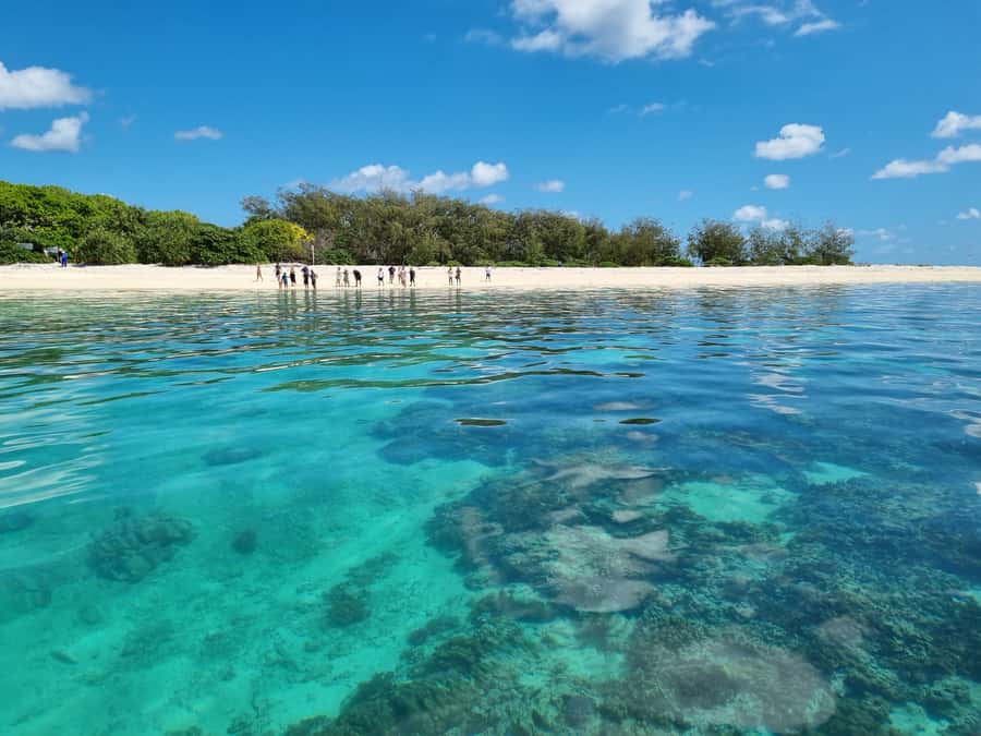 Town of 1770: Lady Musgrave Island Snorkelling Day Cruise - Why Lady Musgrave Island is worth the long crossing