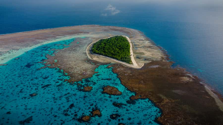 Town of 1770: Lady Musgrave Island Snorkelling Day Cruise - Starting in Seventeen Seventy