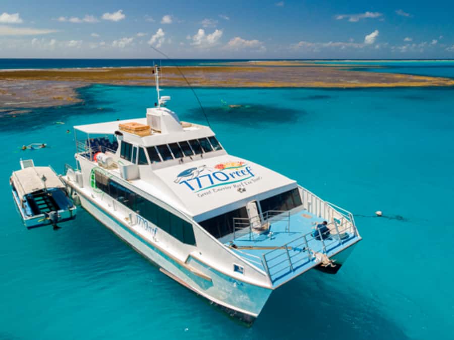 Town of 1770: Lady Musgrave Island Snorkelling Day Cruise - Snorkelling inside the protected lagoon