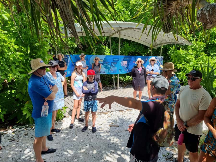 Town of 1770: Lady Musgrave Island Snorkelling Day Cruise - Food, drinks, and the value of the $198 price