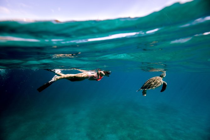 Turtle Cove Catamaran Snorkel and Sail at Little Buck Island STT - Quick takeaways