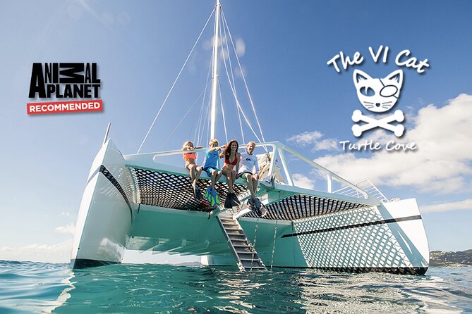 Turtle Cove Catamaran Snorkel and Sail at Little Buck Island STT - The real appeal: turtles at Little Buck Island