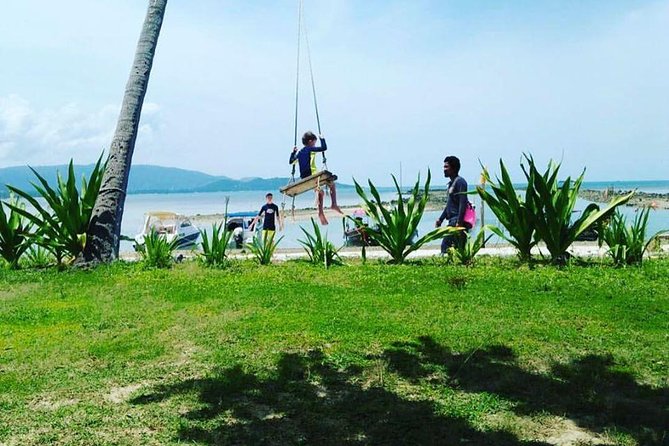 Unspoiled Island Escape: Private Speedboat Tour from Koh Samui - Pig Island brings the unusual moment
