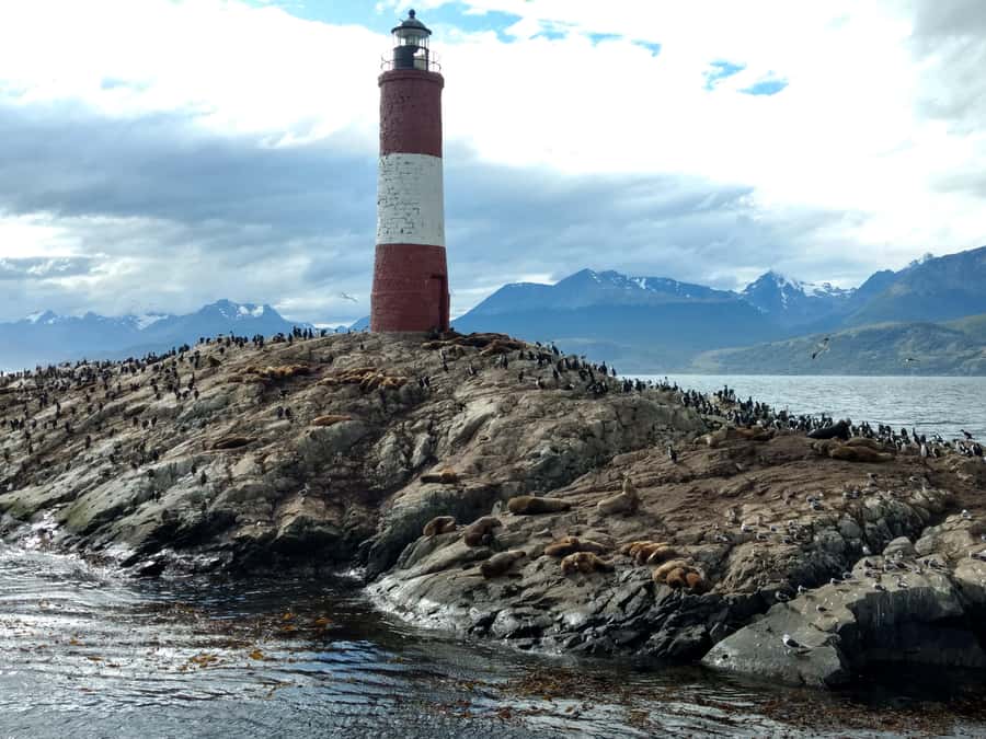 Ushuaia: Beagle Channel & Sea Wolves Island Catamaran Cruise - The return to Ushuaia and the best mountain views