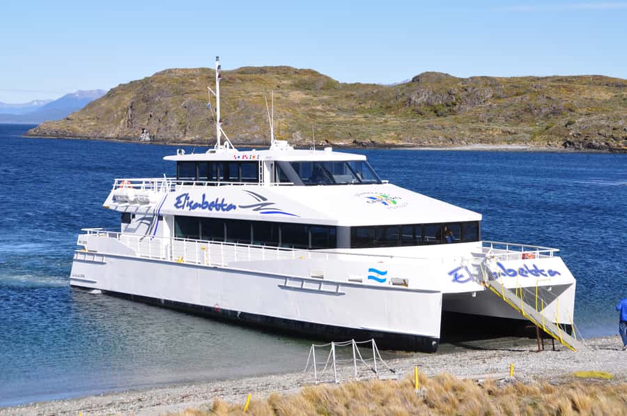 Ushuaia: Beagle Channel & Sea Wolves Island Catamaran Cruise - Price, timing, and who gets good value