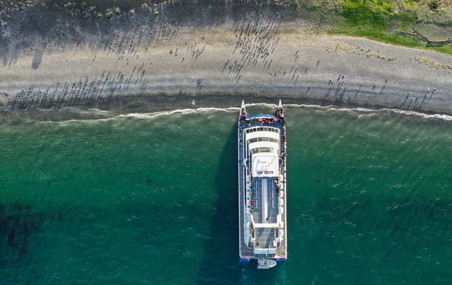 Ushuaia: Catamaran Sailing to Penguin Island - Key points to know before you book